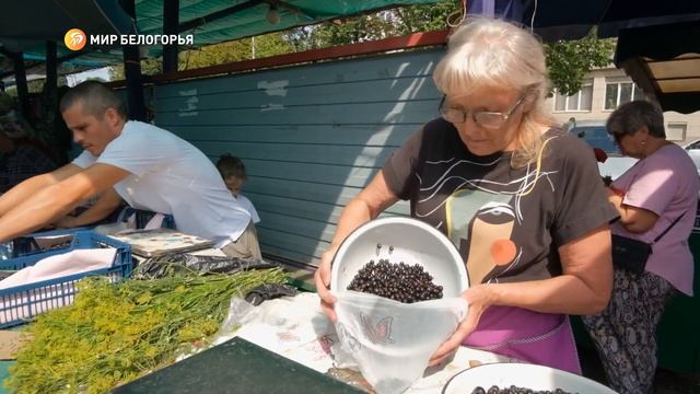 Руководство ярмарки «Восход» предоставляет бесплатные места для людей старше 80 лет смотреть онлайн