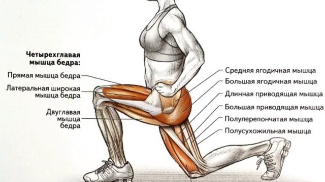 Что будет с телом,если приседать каждый день? Приседание смотреть онлайн