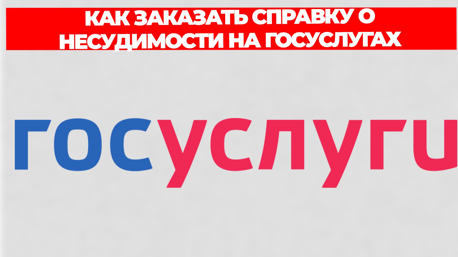 Всезнающий Енот