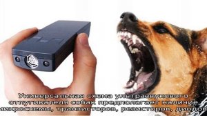 Мощный отпугиватель собак своими руками — схема