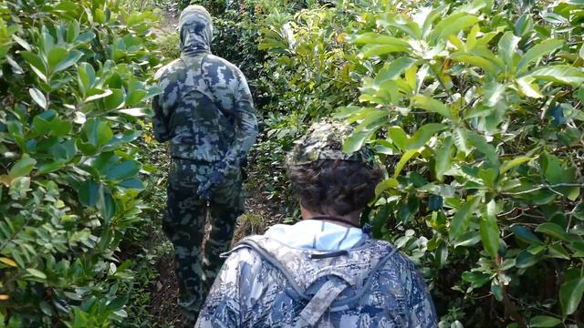 Exotic safari on Mauritius island: The world record Javan rusa hunt смотреть онлайн