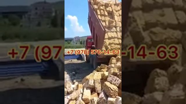 Отзыв Ракушечник