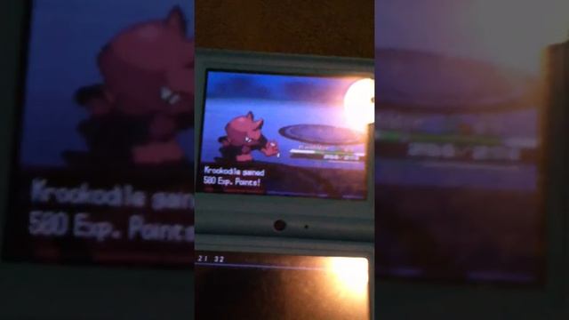 Pokemon Black: Black City Guide смотреть онлайн