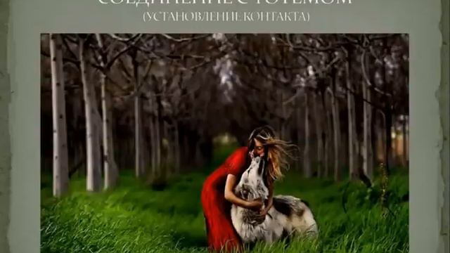 Сила Тотема. Соединение с Тотемом подготовка к практикам смотреть онлайн