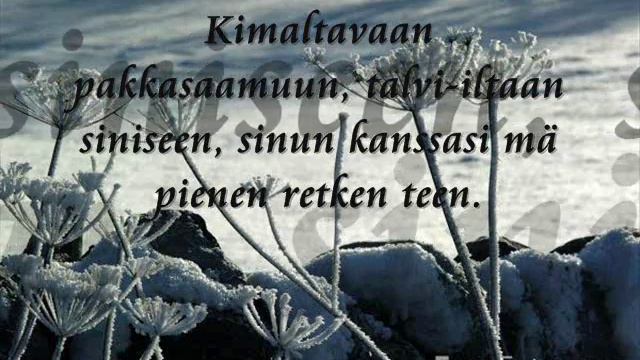 Talven syliin - Petri Laaksonen ja Virve Rosti смотреть онлайн