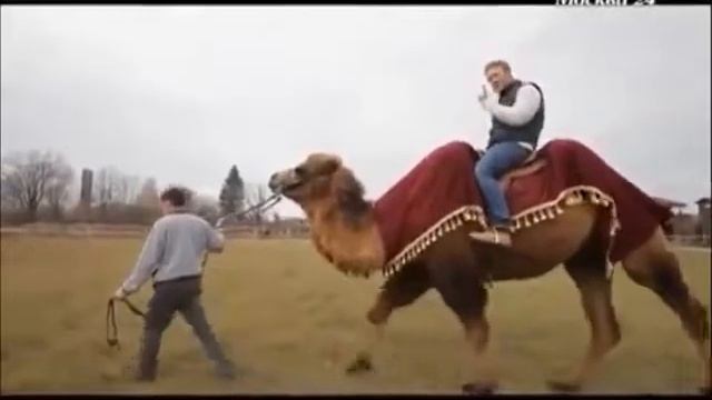 База отдыха «Усадьба Кузнецово», Московская область смотреть онлайн