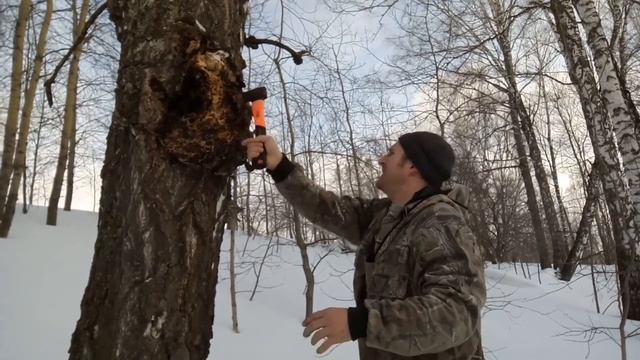 Как я заработал миллион на сборе Чаги. Часть 2. смотреть онлайн