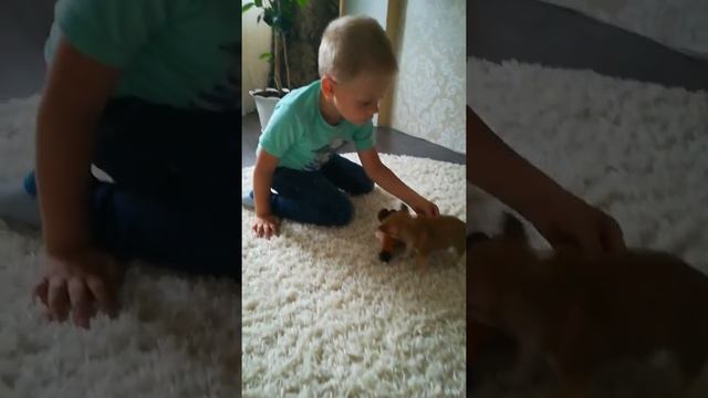 Где собака смотреть онлайн