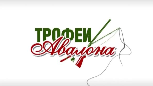 Ловля щуки на мелководье