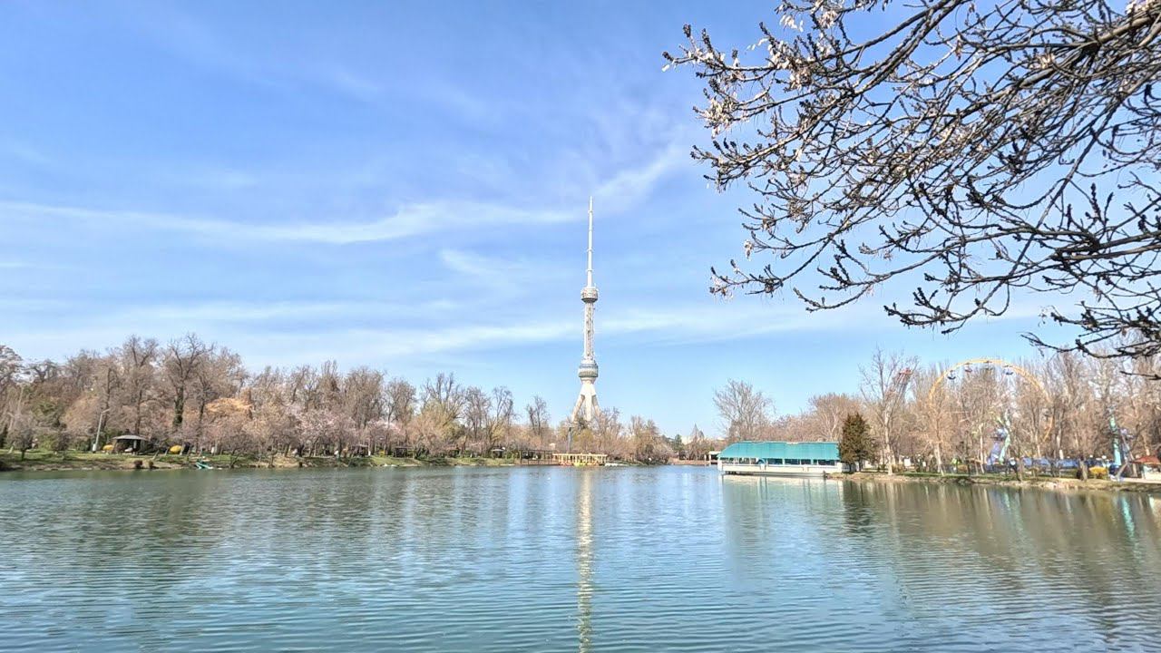 Ташкент Японский сад 2024 смотреть онлайн