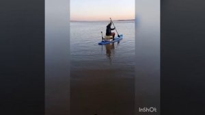 испытания сапа с мотором все ролики в один