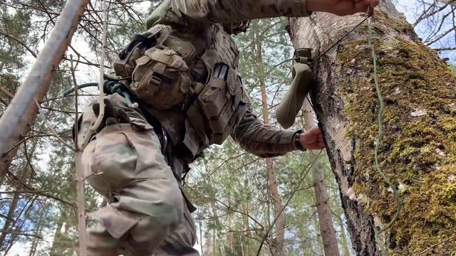 Survival Training: How to get Water from a Tree смотреть онлайн