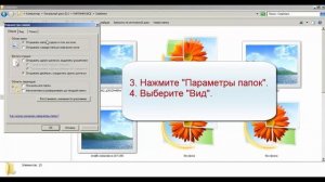 Не отображаются эскизы видеофайлов в windows7. Как увидеть эскизы картинок?