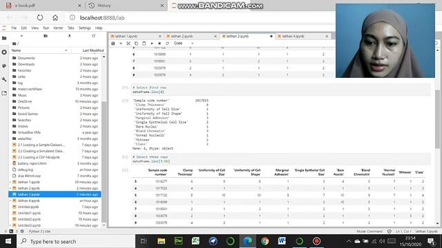belajar Data Wrangling menggunakan Python. смотреть онлайн