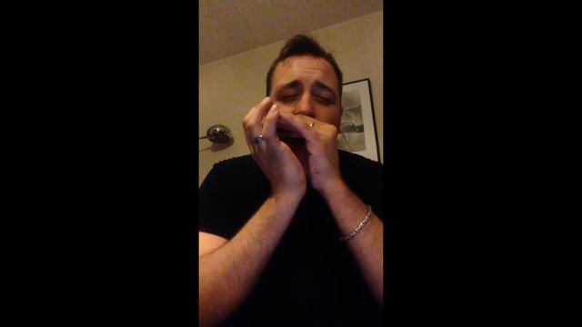 Acoustic harmonica blues in key of D. смотреть онлайн