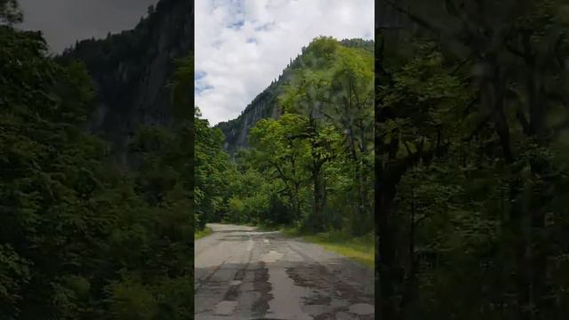 Абхазия,дорога к озеру Рица смотреть онлайн