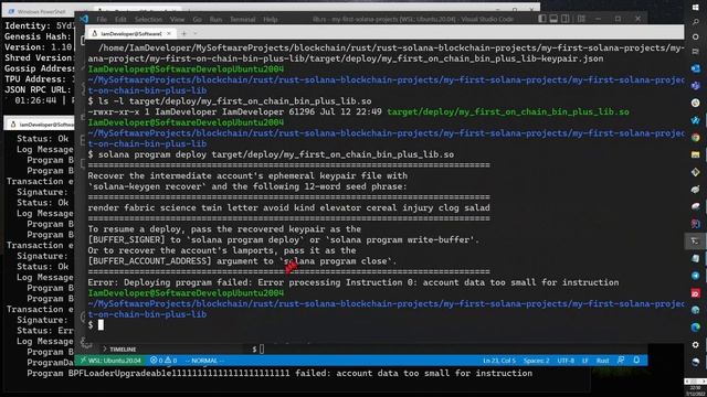 Blockchain Programmer-Part 11: Pass Data Client To On-Chain Rust Prog | Multi-Version Deployments смотреть онлайн