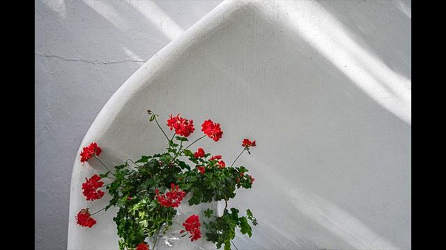 LS 2_4 - Beautiful White Light