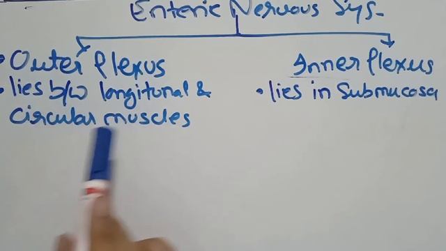 Bio GIT 6 : Enteric Nervous System смотреть онлайн