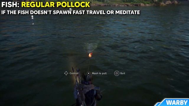 Assassin's Creed Valhalla - Pollock Fish Locations (Big - Regular - Small) смотреть онлайн