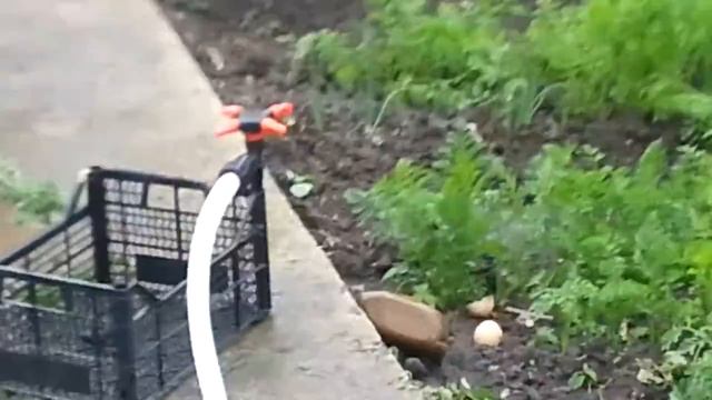 Разбрызгиватель 4 х лепестковый жук смотреть онлайн