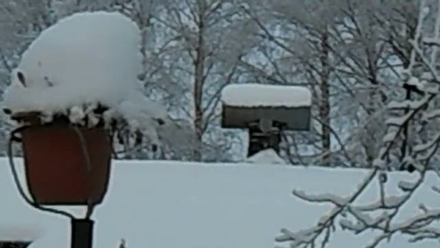 печная труба--защита от снега/угроза америке/ смотреть онлайн