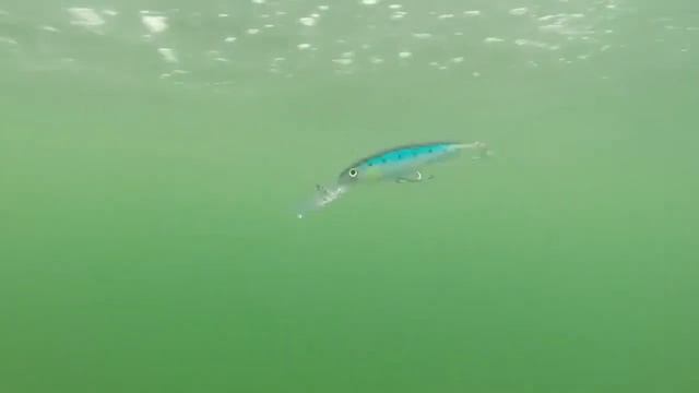 Воблер Rapala X Rap Magnum смотреть онлайн