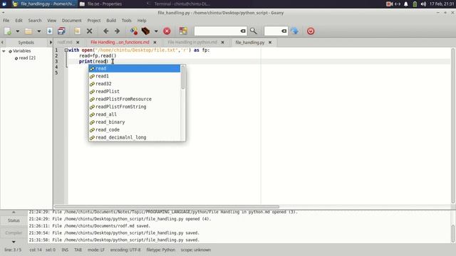 copying a file and count lines in python смотреть онлайн