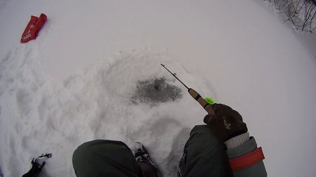 ЖОР ОКУНЯ НА ТОМИ ПЕРВЫЙ ЛЕД 2019 смотреть онлайн