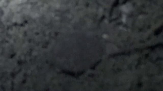 Коп 2019 Ночь ходячих монет смотреть онлайн