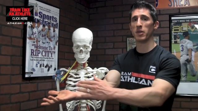 Elbow Pain When Working Out (WHY & HOW TO FIX IT!!) смотреть онлайн