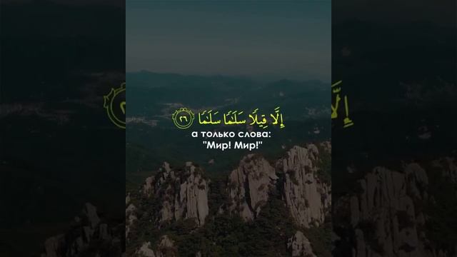 Аль Вакиа SAAD AL QURESHI) смотреть онлайн