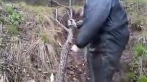 Ох ты силушка ты моя Боготырская!!!