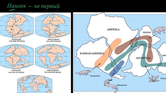 Пангея   Pangaea