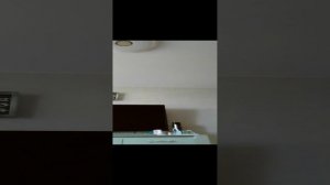 VID_20240826_150729.mp4