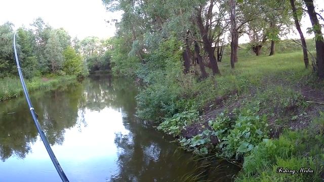 Открытие сезона 2021 ловли голавля на кузнечика смотреть онлайн