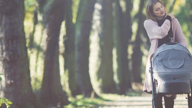 Babyono Mother's Bag смотреть онлайн