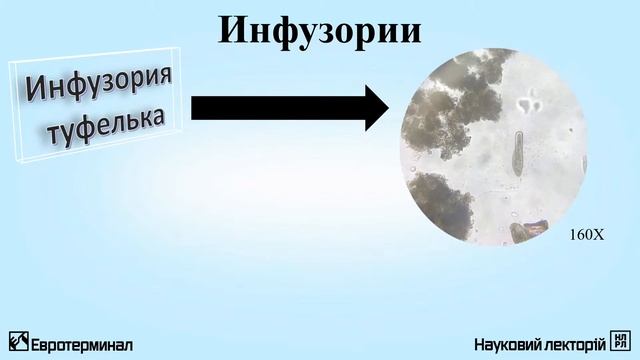 Микромир. Лекция 3 смотреть онлайн