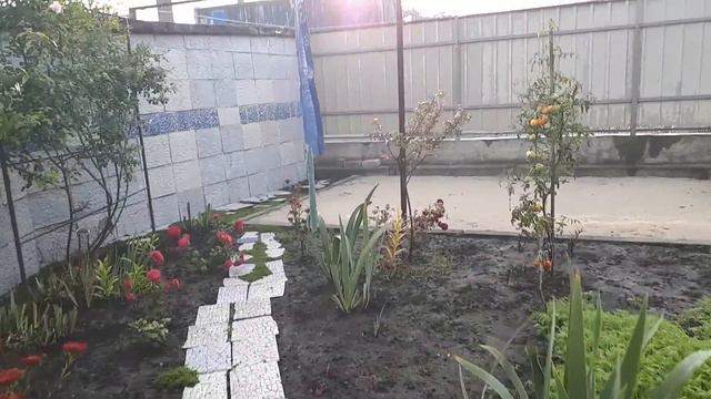 КРИМСЬКА ЦИБУЛЯ НА КАМІННІ ЗА ДВОРОМ смотреть онлайн