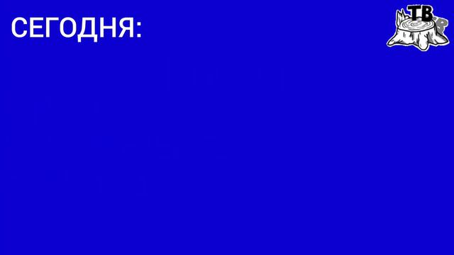 Смена логотипа на обычный и рестарт эфира (Пенёк ТВ, 11.05.2022) смотреть онлайн