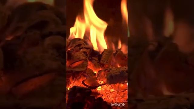 InShot_20230829_120321673.mp4