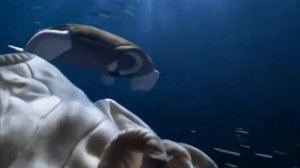 [4К 60FPS] Реклама Ariston Aqualtis - Подводный мир (Реклама из Детства)