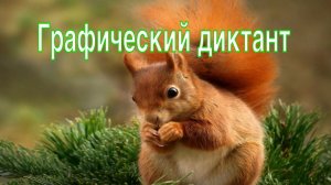 Графический диктант. Белочка