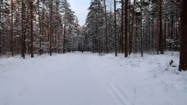 нужно быть смешным для всех смотреть онлайн
