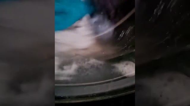 Hotpoint NSWR843C Final Rinse смотреть онлайн