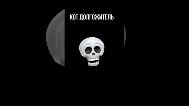 ? КОТ ДОЛГОЖИТЕЛЬ смотреть онлайн