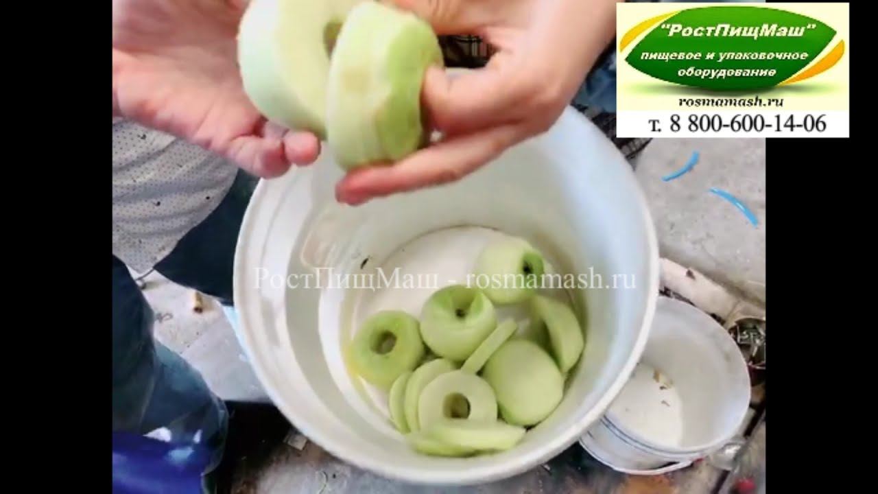 Линия очистки и резки яблок от РостПищМаш смотреть онлайн