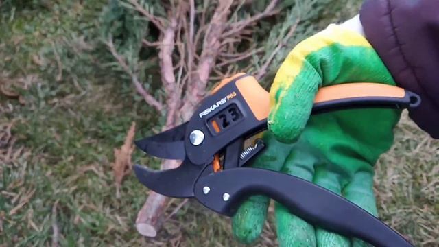 Секатор Fiskars P83 с храповым механизмом, обзор и сравнение с Mr.Logo 16740