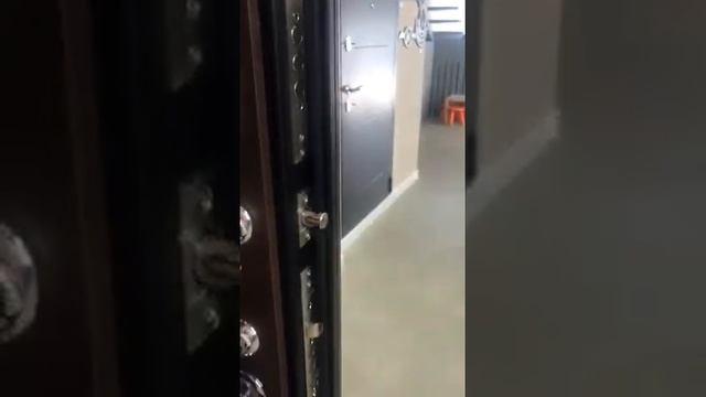 Входная дверь Порта S55.K12 Almon 28/Dark Oak