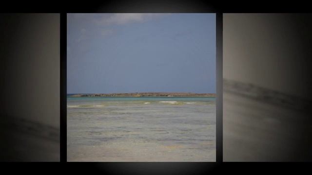 Grand Bahamas Island Excursions | Grand Bahama Vacations смотреть онлайн